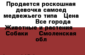 Продается роскошная девочка самоед медвежьего типа › Цена ­ 35 000 - Все города Животные и растения » Собаки   . Смоленская обл.